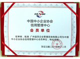 中国中小企业协会会员单位证书