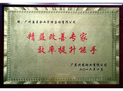 精益改善专家 效率提升能手（兴发）