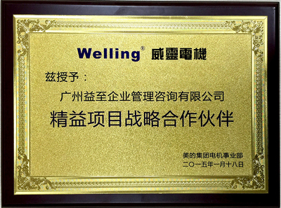 精益项目战略合作伙伴（美的威灵）
