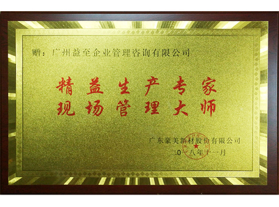 精益生产专家 现场管理大师（豪美铝业）